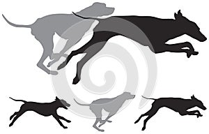 Hunting dogs run vector silhouettes