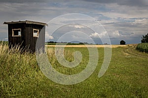 Hunting hide in field with tree in background