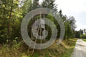 Hunting Hide in german Forest in Summer