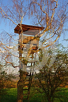 Hunting hide in a tree