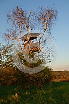 Hunting hide in a tree