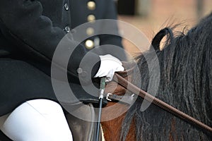 Hunting with horses, a woman on her steed ready for a day& x27;s hunting.