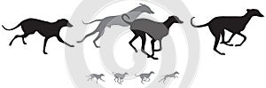 The hunting hound dogs run, variant 2 vector silhouettes