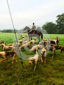 Hunting with hounds in Britain