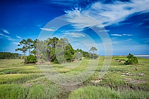 Hunting island beach scenes