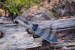 Hunting knife with black handle lies on log in forest.