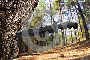 Hunting knife sticking in tree