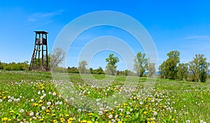 Hunting lodge made of wood in the meadow full of flowers