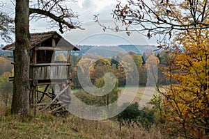 Hunting lookout at the edge of the forest