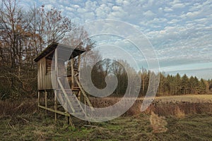 Hunting lookout at the edge of the forest