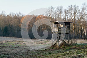 Hunting lookout at the edge of the forest