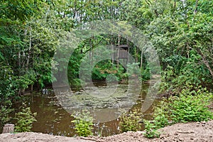 Hunting observatory and hide