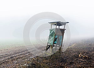 Hunting perch in morning fog