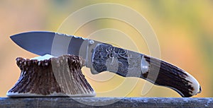 Hunting pocket knife with deer engraving