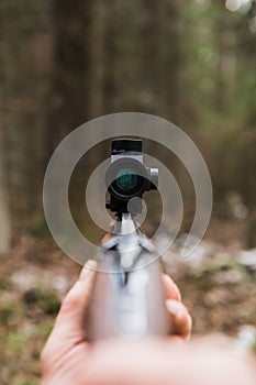 Hunting rifle with collimator sight photo