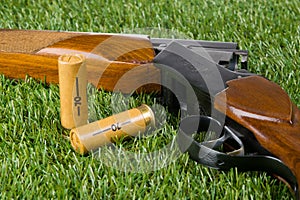 Hunting rifle and two cartridges on a green lawn