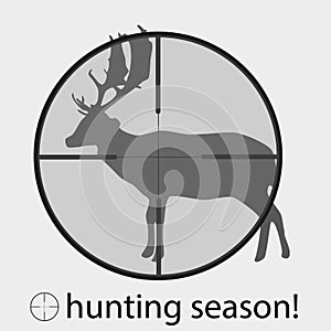 Hunting season with deer in gunsight