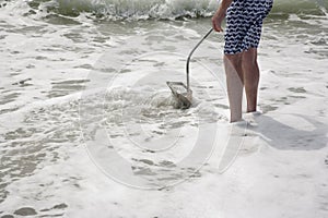 Hunting for shark teeth on Venice beach Florida