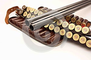 Hunting shotgun barrel and cartridges