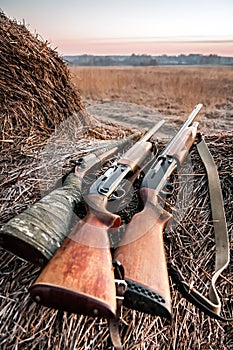 Hunting shotguns on haystack while halt