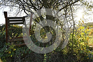 Hunting stand in autumn