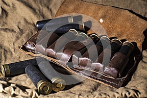 Hunting still life, hunter cartridge belt with shotgun shells.