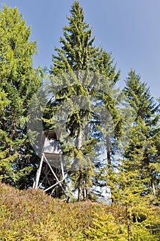 Hunting tower in alpine woods. Western Carinthia, Austria.