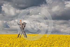 Hunting tower on the field