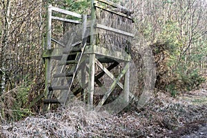 Hunting tower in the forest near a dirt road