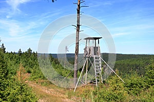 Hunting tower in the forest. Wooden Hunter Hide High watch post tower. Hunter`s observation point in forest in Europe