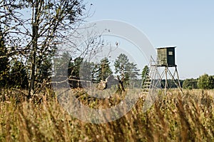 Hunting tower standing in a field, Latvia