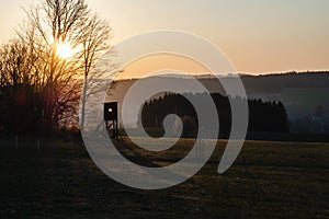 Hunting tower standing in a field with a lone oak and forest, sunset time