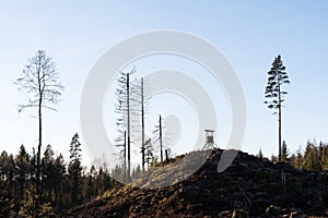 Hunting tower in the woods