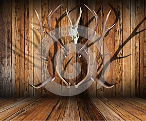 Hunting trophies on wood