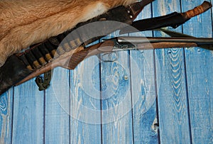 Hunting weapons, bandolier with cartridges, Fox skin, knife in a case on a light blue wooden background.