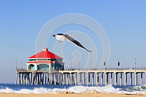 Huntington Beach Pier