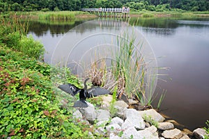 Huntington Beach State Park