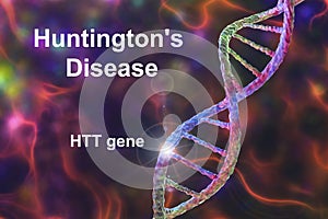 Huntington's disease, a neurodegenerative disease due to mutation in the huntingtin gene, HTT, conceptual 3D