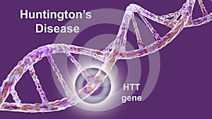 Huntington's disease, a neurodegenerative disease due to mutation in the huntingtin gene, HTT, conceptual 3D