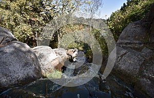 Huntington Water Falls at Stow Lake Golden Gate Park, 3.