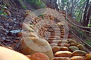 Huoyanshan Nature Reserve, Beautiful landscape at Miaoli Sanyi,