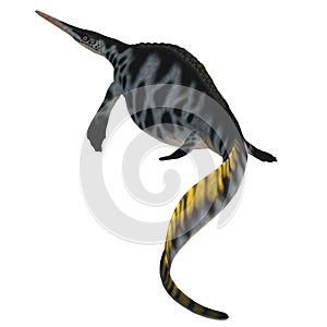 Hupehsuchus Reptile Tail