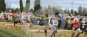 Hurdling hay bales durring cross country race