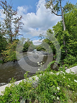 Huron River at Delhi Metropark, Ann Arbor, Michigan