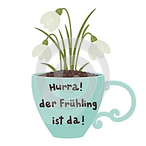 `Hurra! der FrÃ¼hling ist da!` German lettering on a cup with snowdrops flowers.