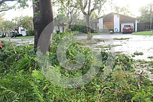 Hurricane aftermath in Miami, Florida