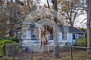 Hurricane Damage