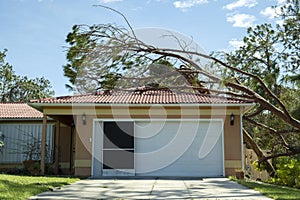 Hurricane damage to a house roof in Florida. Fallen down big tree after tropical storm winds. Consequences of natural