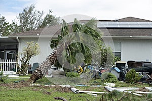Hurricane damage to palm tree on Florida house backyard. Fallen down tree after tropical storm winds. Consequences of