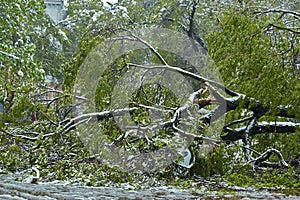 Hurricane-damaged car